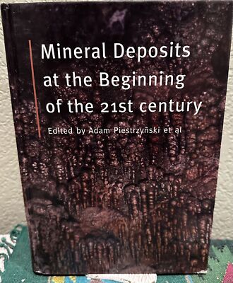 A Piestrzynski / Mineral Deposits at Beginning The 2001