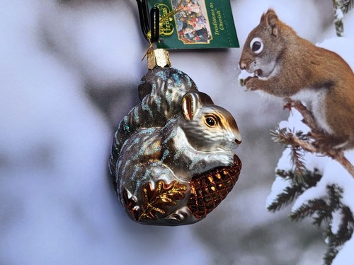 Alte Welt Weihnachten HUNGRIG grau EICHHÖRNCHEN Glas mundgeblasen Ornament Neu mit Etikett Neu - Bild 2 von 3