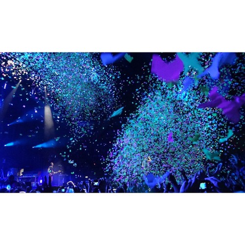 Chauvet DJ LED Shadow 2 ILS UV LED Blacklight DMX Panel Wash Fixture - Picture 5 of 9
