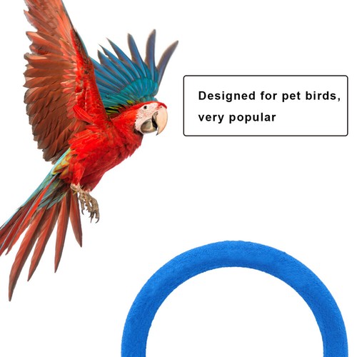 Cage Accessoire Perche Perruche Nail tendance Perche Parrot Lecture Stand