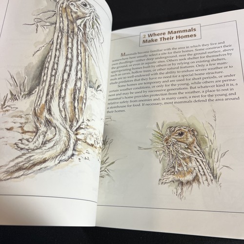 About mammals and how they live by Schwartz MO Dept Of Conservation. PB 1993 - Imagen 8 de 9