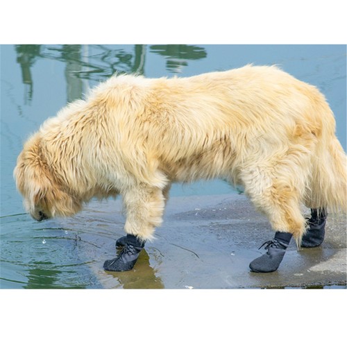 4pcs Anti-Slip Dog Boots Waterproof Adjustable Dog Socks with Shoelace - Picture 7 of 9