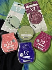 Scentsy Bundle