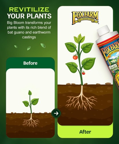 Big Bloom Liquid Plant Fertilizer Organic Nutrients for Vibrant Flowers and F... - Picture 5 of 6