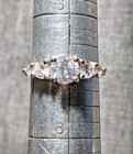 Sterling Silver Cubic Zirconia 5-Stone Ring - Size 7