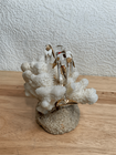 Bild 10 von 14