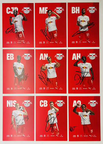 !!! Kompletter Satz - vollständig signiert !!! RB Leipzig 25/26 DFB Autogramm - Bild 3 von 6
