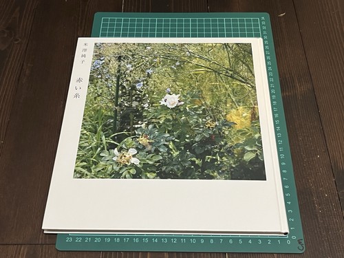 JUNKO YONEZAWA A Thread of Red YOSHIHIKO UEDA DIRECTOR JAPANESE PHOTO BOOK 2014 - Bild 2 von 16