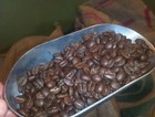 City Roast Coffee Beans New England Roasted Whole Bean Kosher 30lb Bulk Case