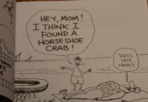 Don Bousquet Born in Rhode Island paperback cartoon humor book SIGNED M2 - Foto 5 di 6