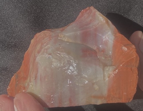 Petrified Rainbow Wood Nugget 136 Grams- 4.8 Oz Arionia - Picture 3 of 8