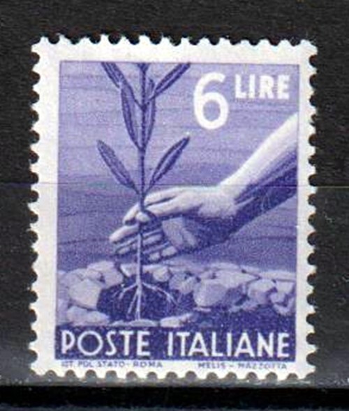 Foto 1 di 2