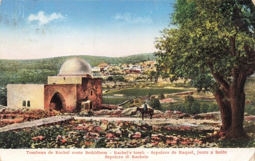 Postcard Judaica Palestine Old Rachel Grave Bethlehem Man on Horse