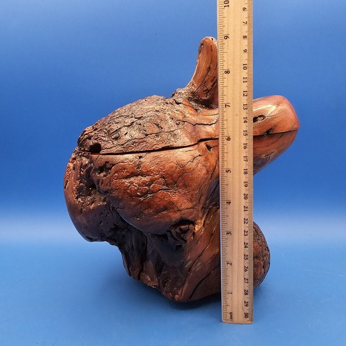 Vintage Live Edge geschnitztes Wurzelholz & Knoten Schmuck Schmuckschatulle 9,25" hoch