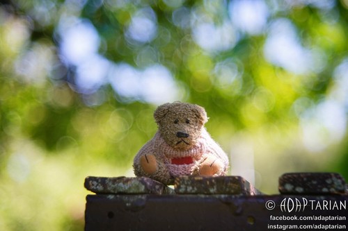 Trioplan bubbly bokeh Isco PROJAR 100/2.8 converted to M42 + focusing | SAMPLES - Imagen 5 de 11