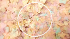Biodegradable Wedding Butterfly Tissue Paper Confetti -  Pastel colours