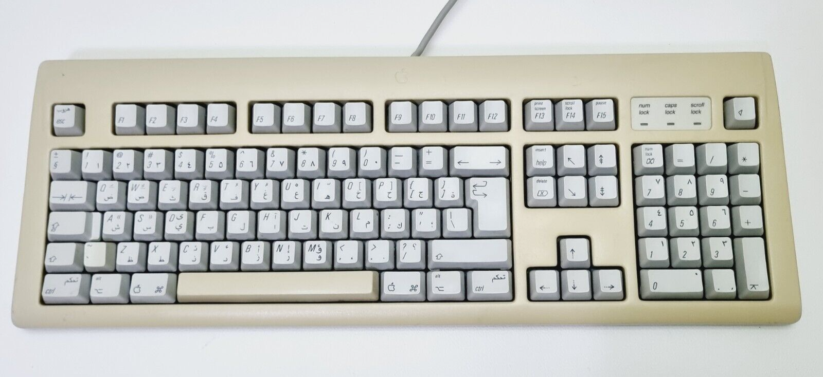 Zdjęcie 7 z 24