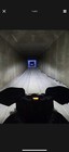 Bild 5 von 12