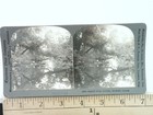 Foto 1 di 2