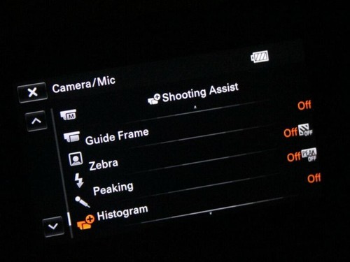 Sony NEX-VG20H Interchangeable Lens E-MOUNT HD Video TESTED WORKING Body Only B - Picture 2 of 16