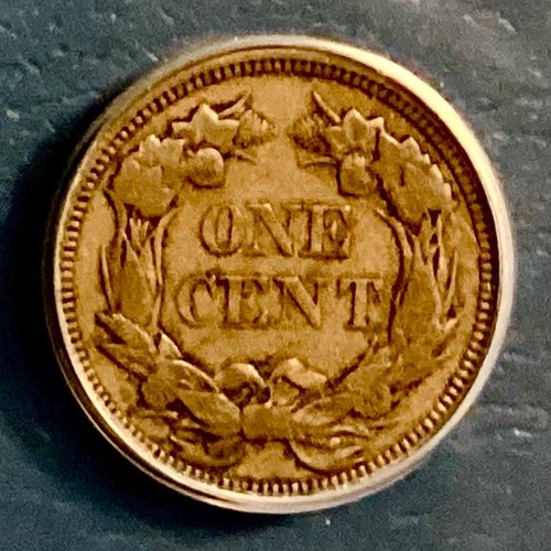 1857 US Flying Eagle Cent ANACS VF 25 - Picture 4 of 4