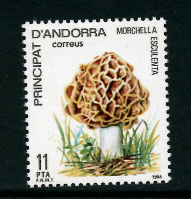 ANDORRA (SPANISH) 165, 1984 MUSHROOM TYPE, MNH (AND611) | eBay