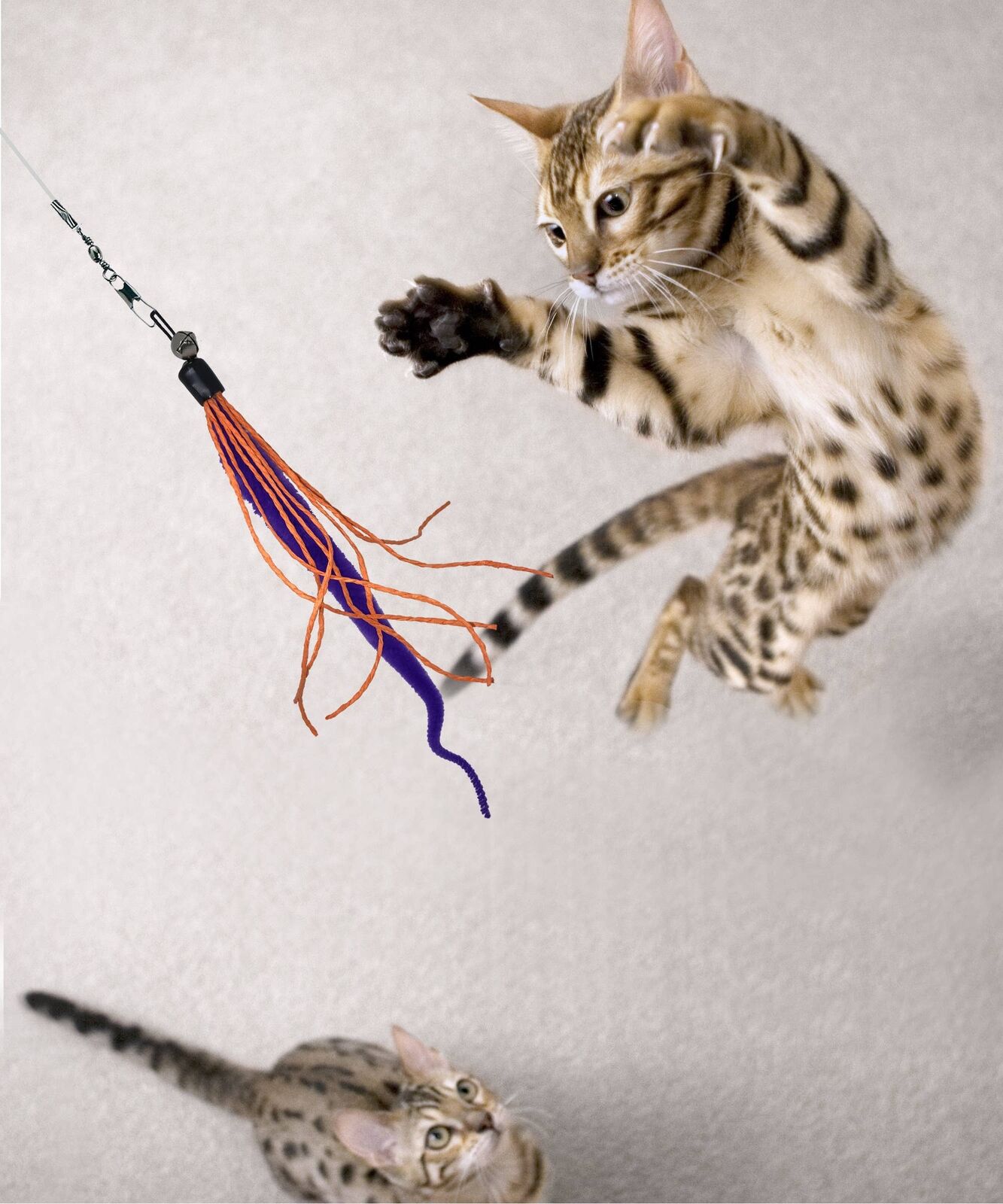 Dezi & Roo - Wiggly Wand Cat Toy