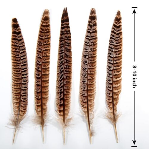 24pcs Female Ringneck Pheasant Tails Feathers Natural Feathers 8-10inch 20-25... - Picture 2 of 8