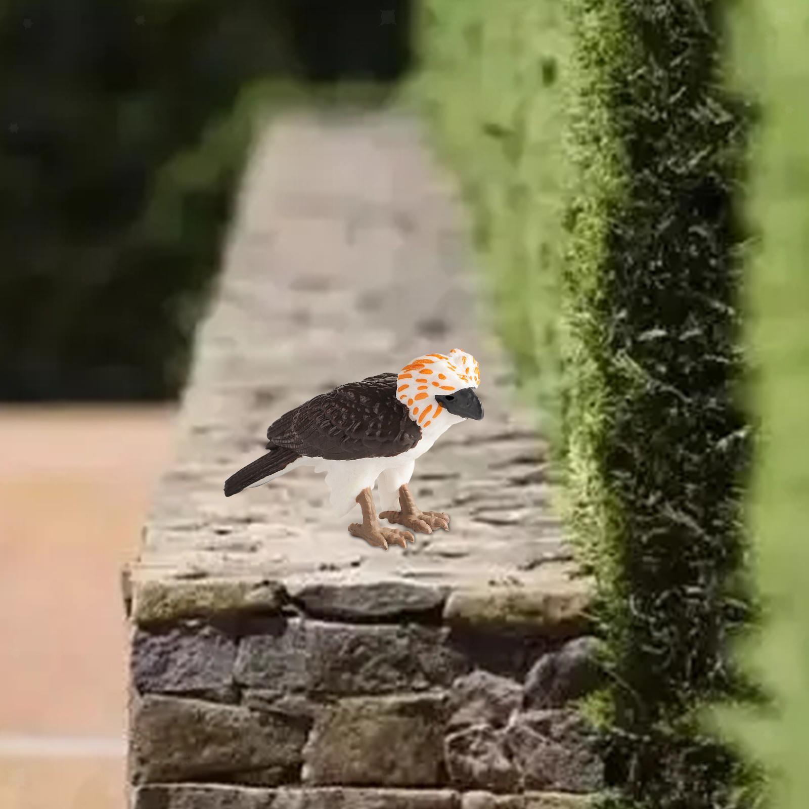 Philippine Eagle Toy Figure Realistic Eagle Figurines for Cognitive eBay