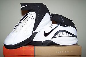 nike zoom air basketball