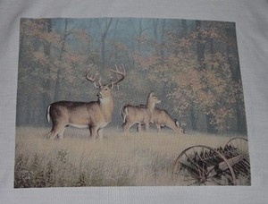 BonEful Fabric FQ Cotton Quilt Brown Scenic Deer Buck Farm Tree Field Hunt Cabin