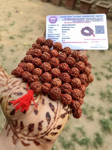 11 mm LAB CERTIFIED 5 Mukhi RUDRAKSHA Rudraksh Mala ROSARY 108+1 Big Beads, Red