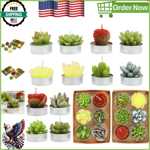 Vivid 12pc Succulent Cactus Tealight Candles - Perfect for Weddings & Home Decor