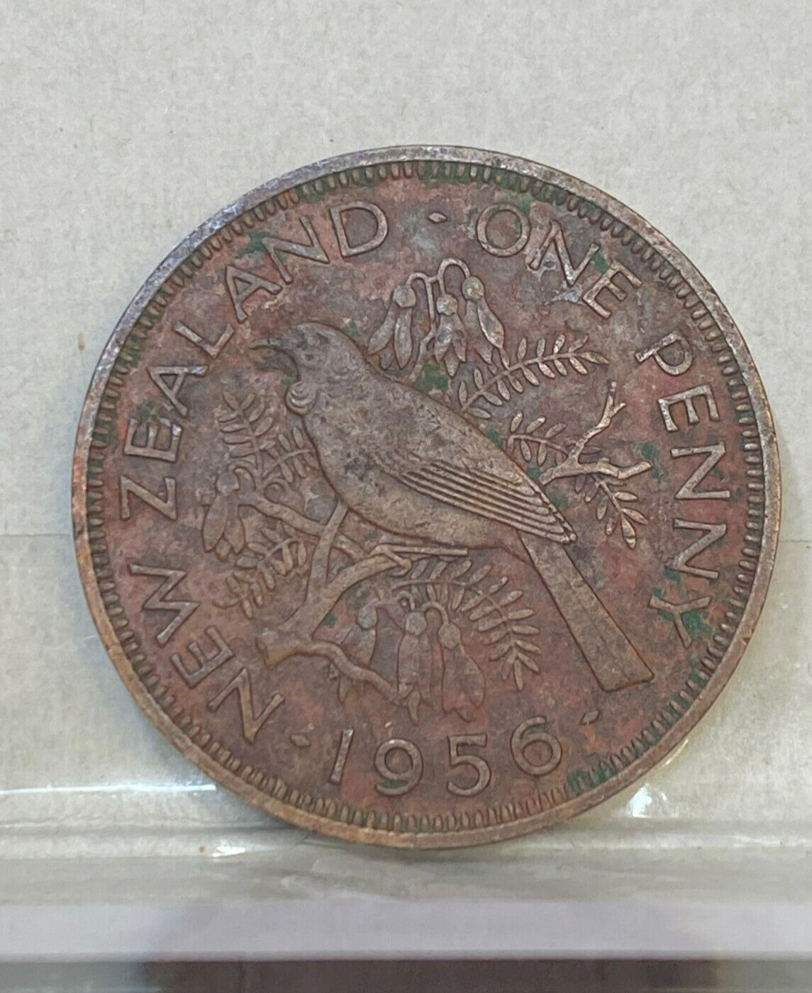 Picture 2 of 2
