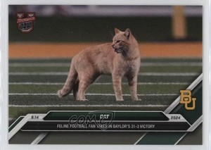 2024 Bowman U Now /2048 Cat #14
