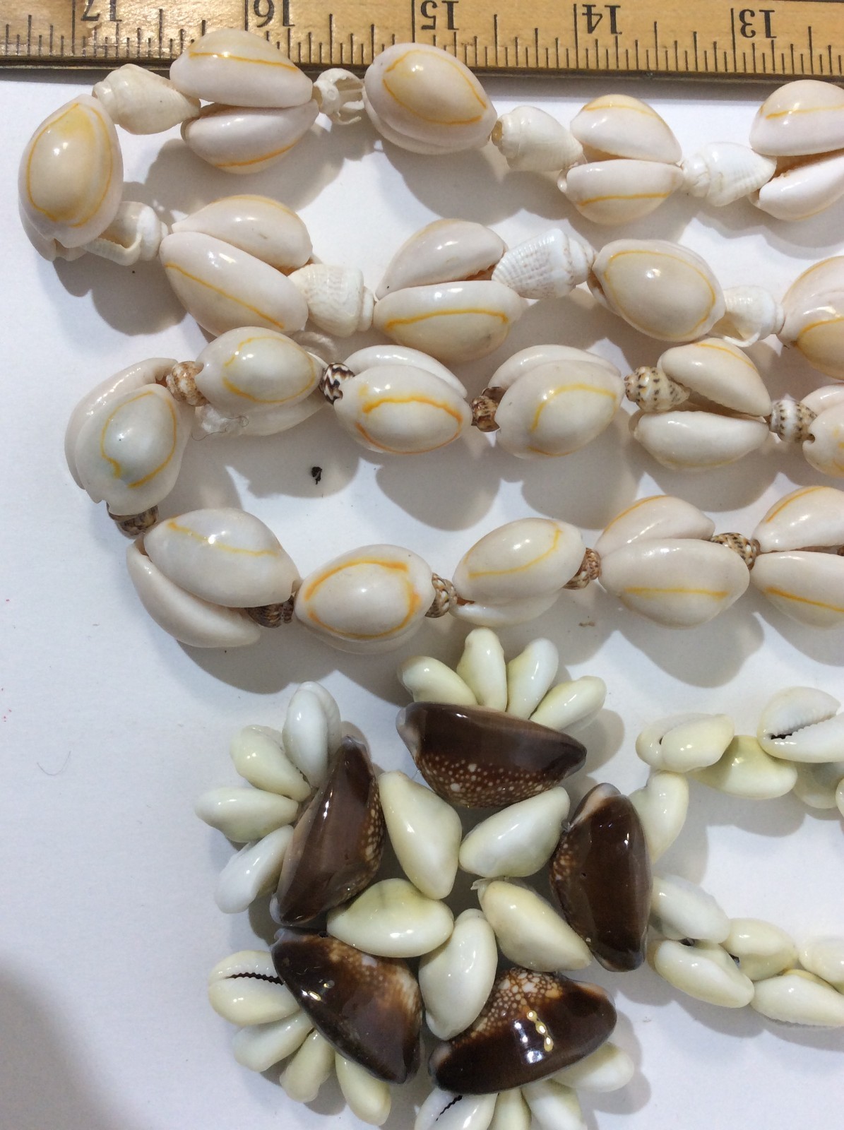 Five Large Seashell Necklaces - image 11