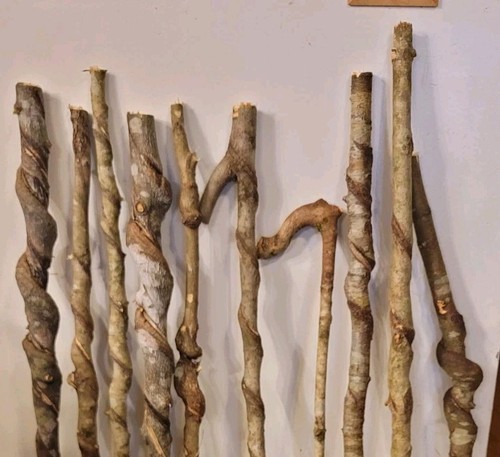 BEAUTIFUL!! Set of 10 FRESH Cut Vine Twisted Stick with Bark~ Read Description - Picture 2 of 3