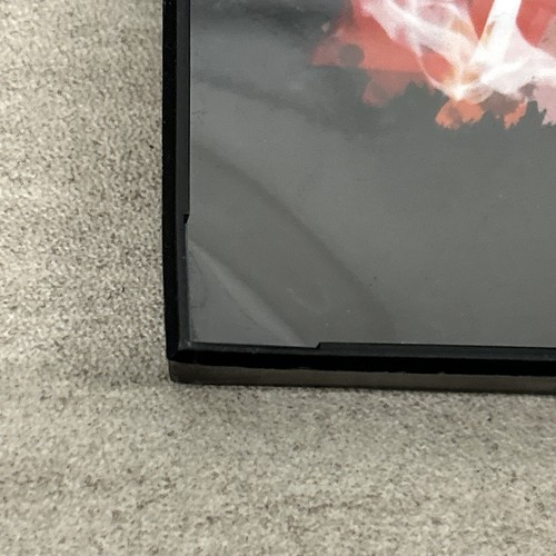 Star Wars Leia Sith Art Print By Jason Oakes Signed By Artist Framed - Picture 2 of 5
