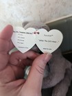Foto 2 di 6