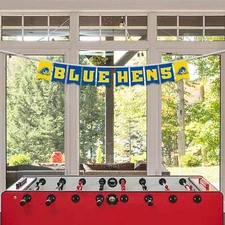 Delaware Blue Hens Banner Flags On A String