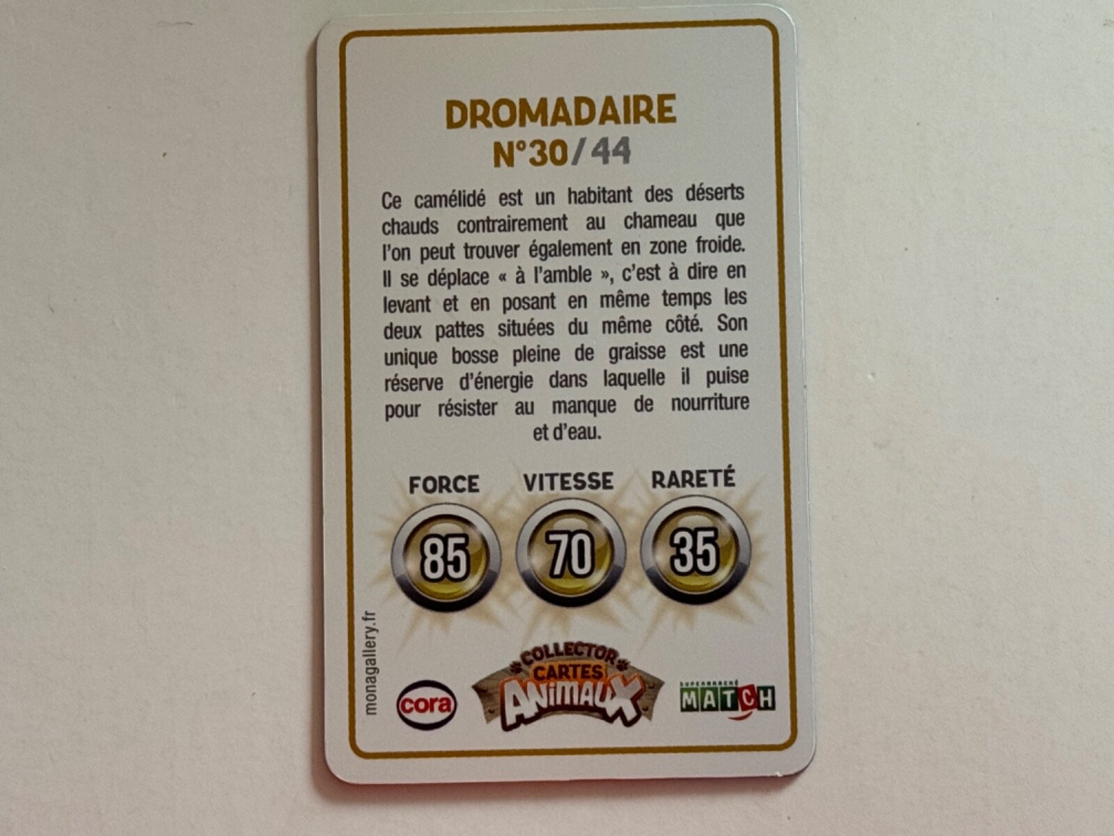 Bild 60 von 100