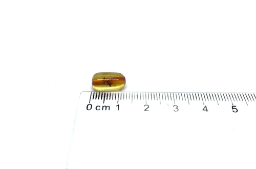 Amber Barrel Bead INSECT DRILLED For Bracelet Necklace Baltic Fossil 0,4g 19062 - Picture 19 of 20
