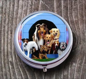 DOG-FULL-HOUSE-PILL-BOX-ROUND-METAL-dsj7Z