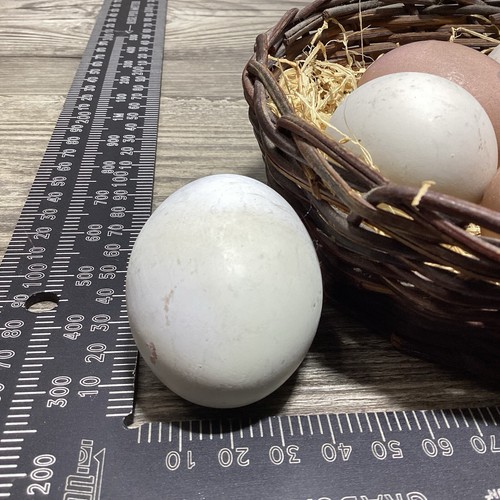 Dozen Realistic Eggs In Basket Nest Faux Artificial Food Prop Brown White Stone - Picture 18 of 21