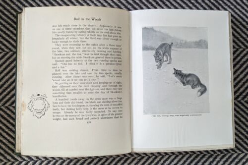 Vintage Book Set: 5x Ernest Thompson Seton (Early 1900s) - Bild 14 von 19
