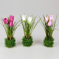 Formano Tulpen Auf Grassockel 3Er Set Rosa Lila Weiss Deko FrüHling Blumen Neu