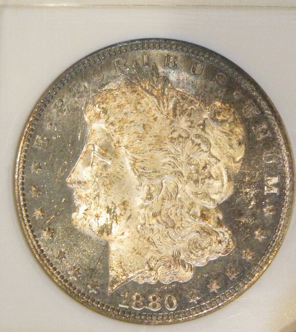 Picture 6 of 6