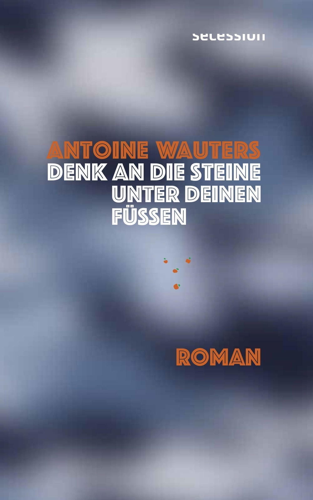 Denk An Die Steine Unter Deinen Füssen | Roman | Antoine Wauters |