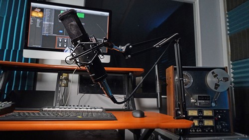 Rockville DMS30 Microphone Boom Arm Studio Podcast Mic Stand+Clamp+Pop Filter - Picture 10 of 10