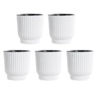 Set of 5 Self Watering Flower Pots Designed for Long Lasting Moisture Retention